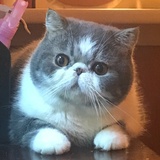 豆友185955334