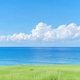 尘世一浮游