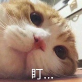 听风一叶