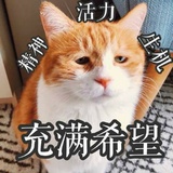 豆友186041866