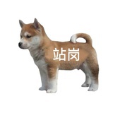 陆沉的狗