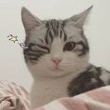 rap少女 曾雪瑶