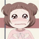 毛小熊