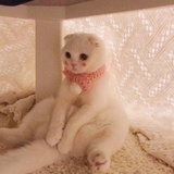 尉迟