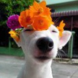 周周周Stella