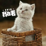 无言怼世界