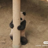 求其