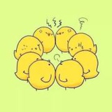 一株野生的决明