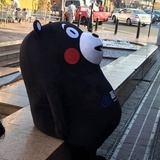 小鳅