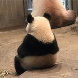 小熊钥匙