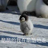 木槿