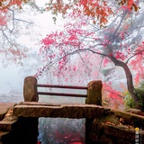 迷糊水晶