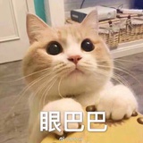 毛豆