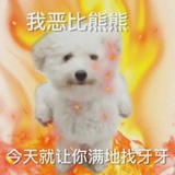 恶比小熊熊