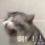 火轮兄