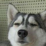 砰嚓哐当嘿