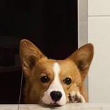 xxxxxxxxxxxxxxx