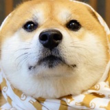 啊哈