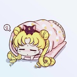 猫宁