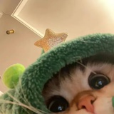 爱笑的狐狸🦊