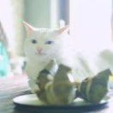 陈默