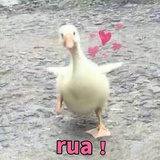 豆友186511903