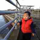 jiandan
