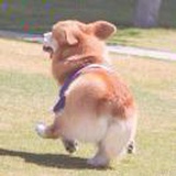 好有米