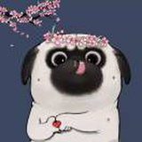 桫椤