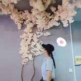 楚卿卿i