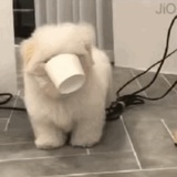 小气鬼