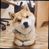 柚子甜筒