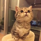 嗯哼