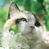 仗剑拈花555