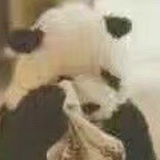 一人一队伍