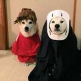 看海追风