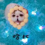 开始修炼的曾小