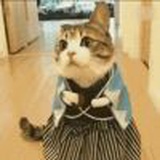 23点了快滚去碎