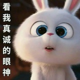 不要脸你赢了