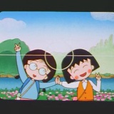 枸杞