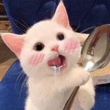 看看明天吃什么