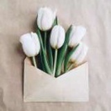 约克•卡门