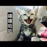 一笑生花