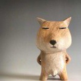 呆呆磞