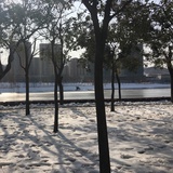 豆友187027862