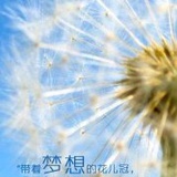 木可可可333