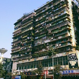 春风不渡