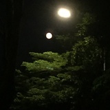 豆友187154232