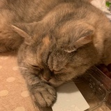 漓音