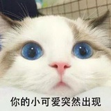小可爱